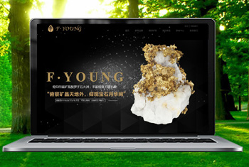 �麣�������ﱦʯ