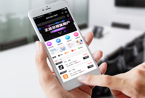 �麣�������С����